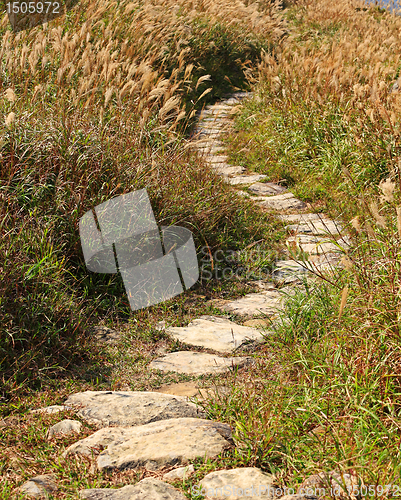 Image of mountain path