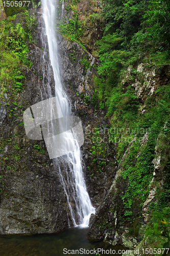 Image of Waterfall