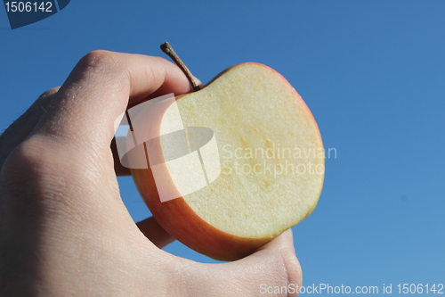 Image of the apple