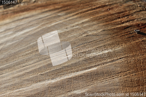 Image of wood texture