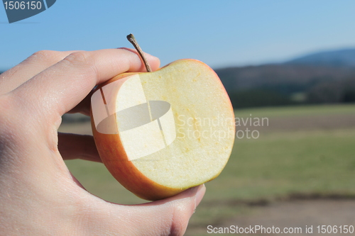 Image of the countryside apple