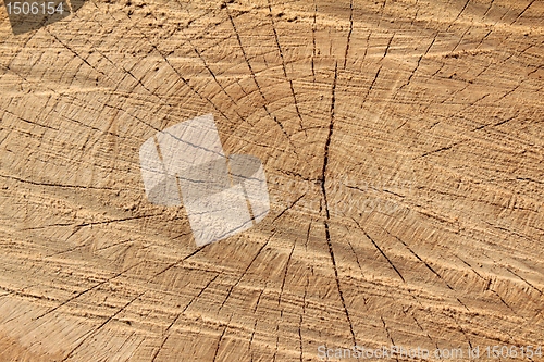 Image of wood texture