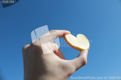 Image of the apple heart