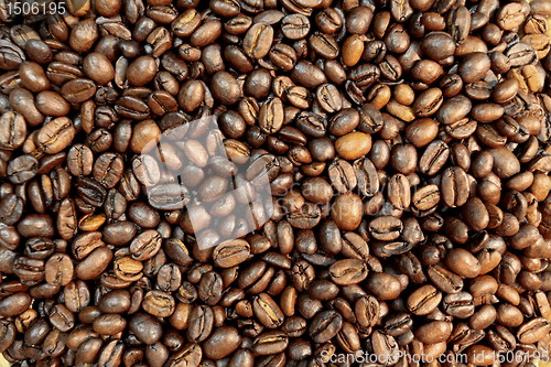 Image of coffee beans   