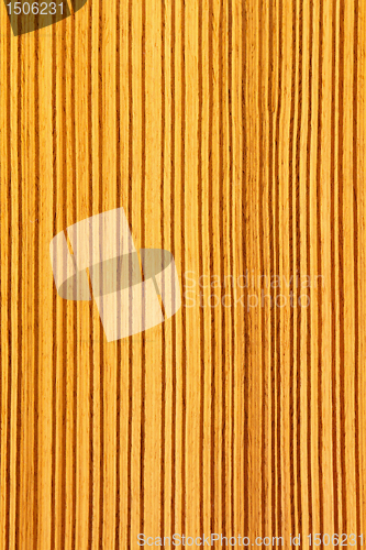 Image of Wood lines