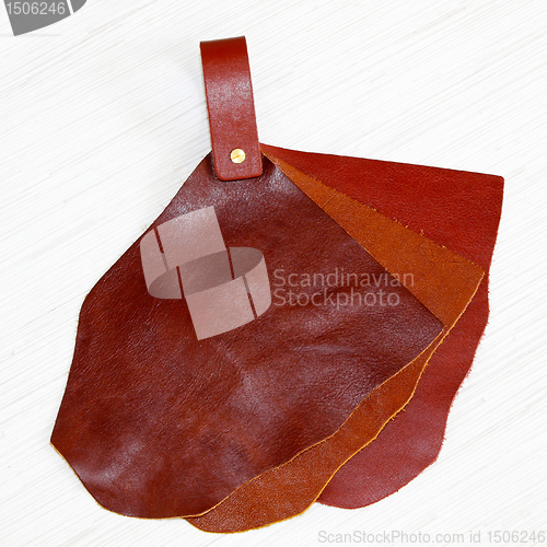 Image of Leather samples