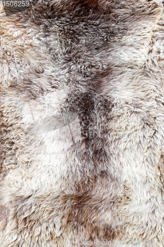 Image of Fur