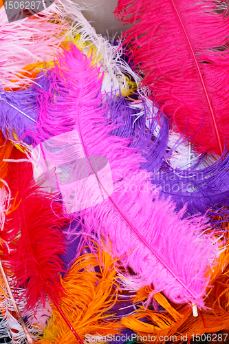 Image of Feather