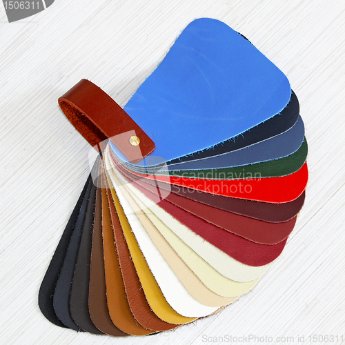 Image of Leather color