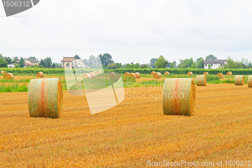 Image of Field haystack