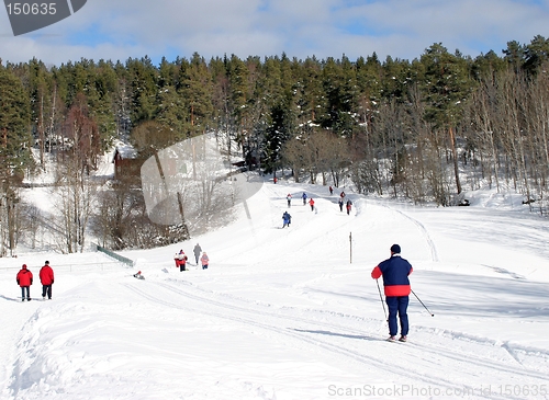 Image of Winter landscape