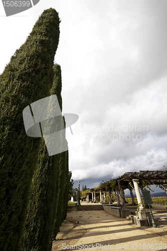 Image of Cypress Lined Path