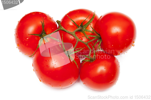 Image of Tomatoes 