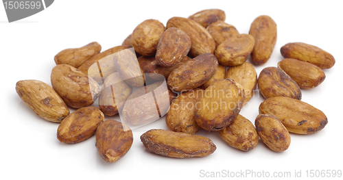 Image of Cacao beans.