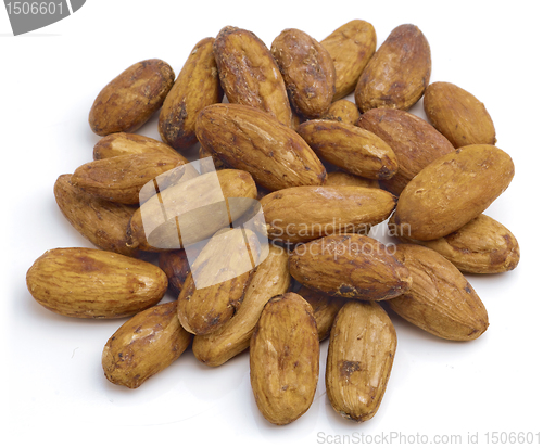 Image of Cacao beans.
