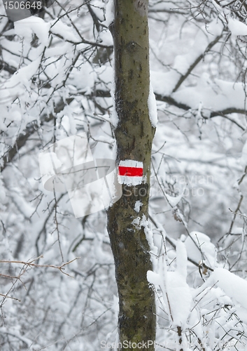 Image of Winter trail