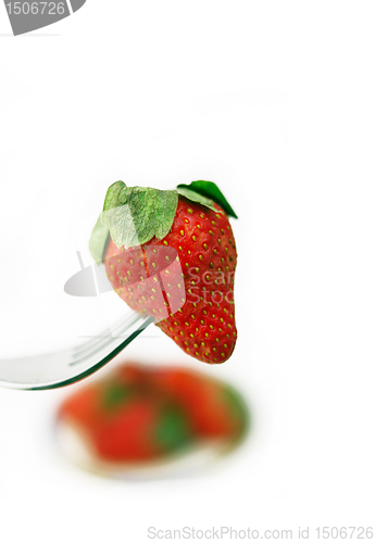 Image of fresh strawberry  on a fork over white 