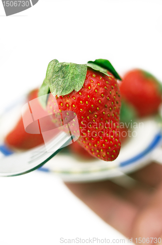 Image of fresh strawberry  on a fork over white 