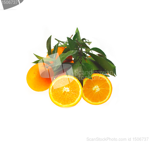 Image of fresh orange isolated
