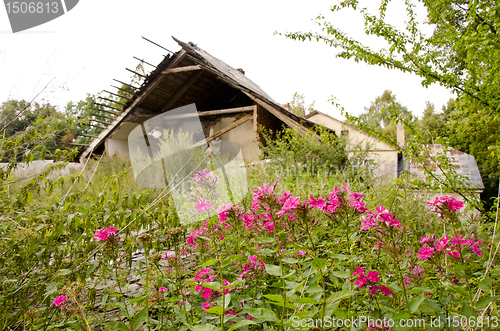 Image of Abandoned village. Crumbling house garden residue