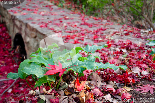 Image of Alone in a Crowd (Scene with Fall Leaves)