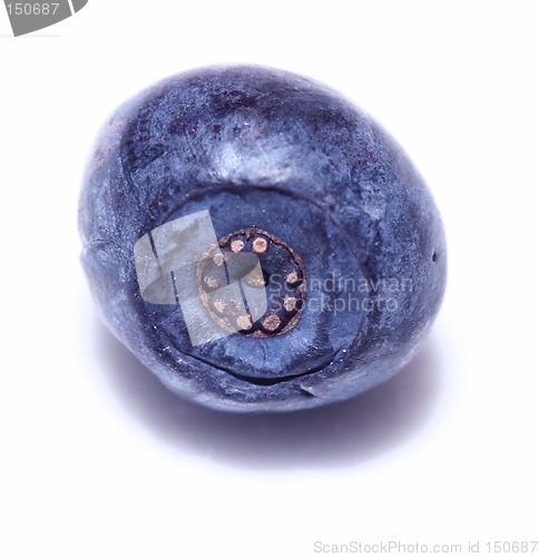 Image of blueberry