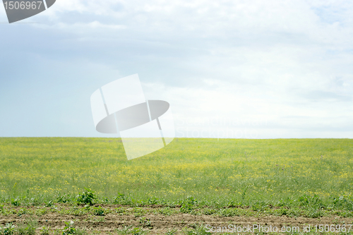 Image of solar meadow