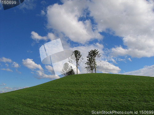 Image of Hill at Docklands park