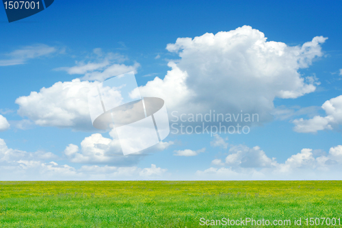 Image of solar meadow