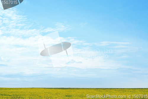 Image of green meadow 