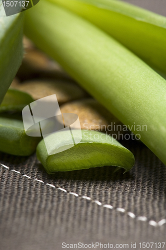 Image of aloe vera plant with pills - herbal medicine