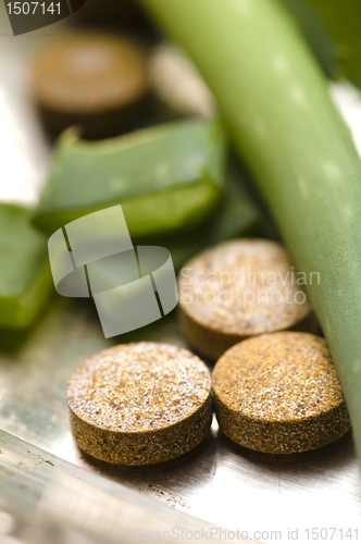 Image of aloe vera plant with pills - herbal medicine