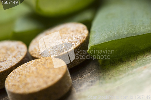 Image of aloe vera plant with pills - herbal medicine