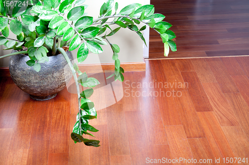 Image of flowerpot with beautiful plant 