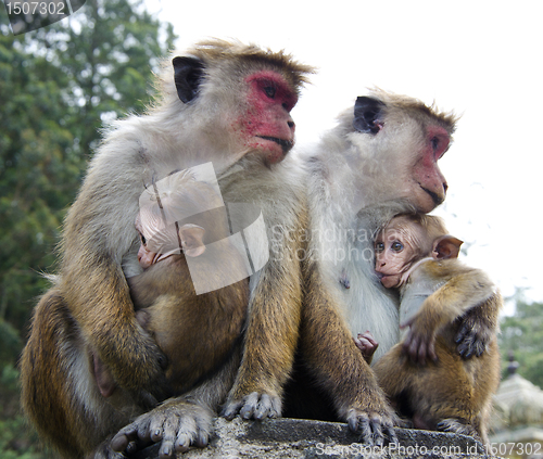 Image of Mother and child close-up