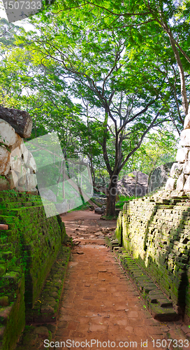 Image of footpath in a park near mount Sigiriya, Sri Lanka (Ceylon).