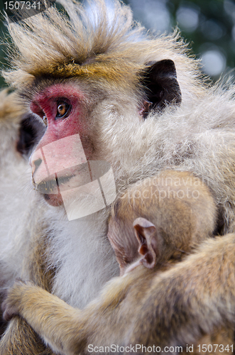 Image of Mother and child close-up