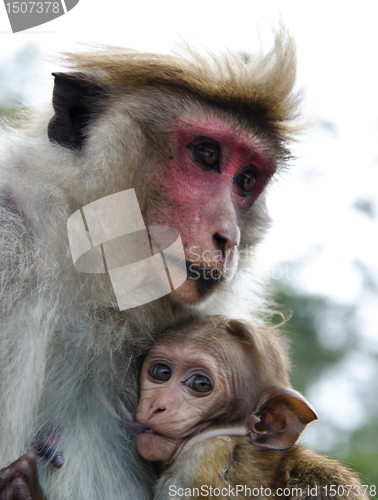 Image of Mother and child close-up