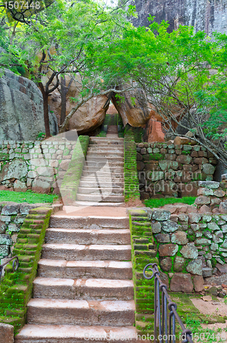 Image of steps and the ruins of the royal palace and the park of Sigiriya