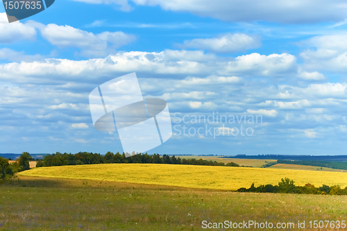 Image of Rural landscape