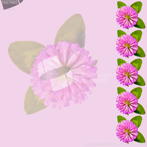 Image of Frame with clover on a pink background