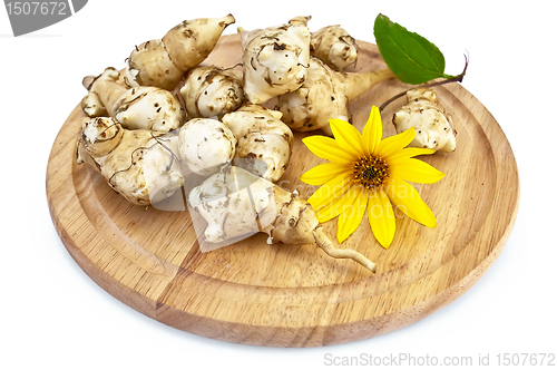 Image of Jerusalem artichoke with a yellow flower on a round board