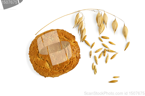 Image of Oatmeal cookies with a stem of oats and grains