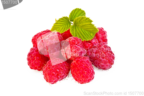 Image of Raspberries with leaf
