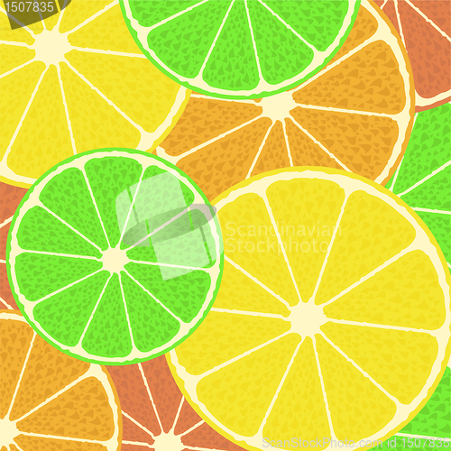 Image of Citrus seamless vector pattern background