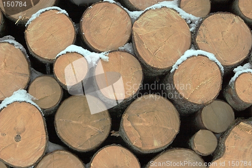 Image of Timber