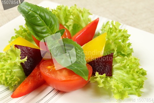 Image of Vegetarian salad