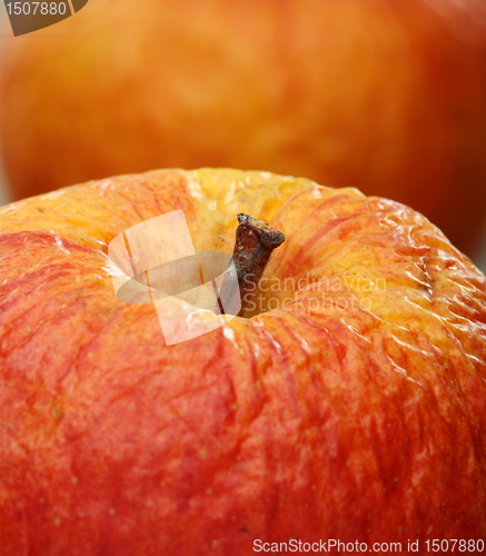 Image of Wrinkled apple closeup.