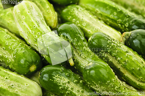 Image of Cucumbers background