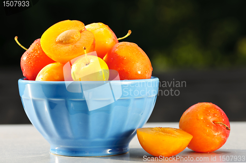 Image of Plums in bowl